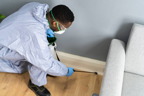 Best Residential Pest Control  in Berryville, VA